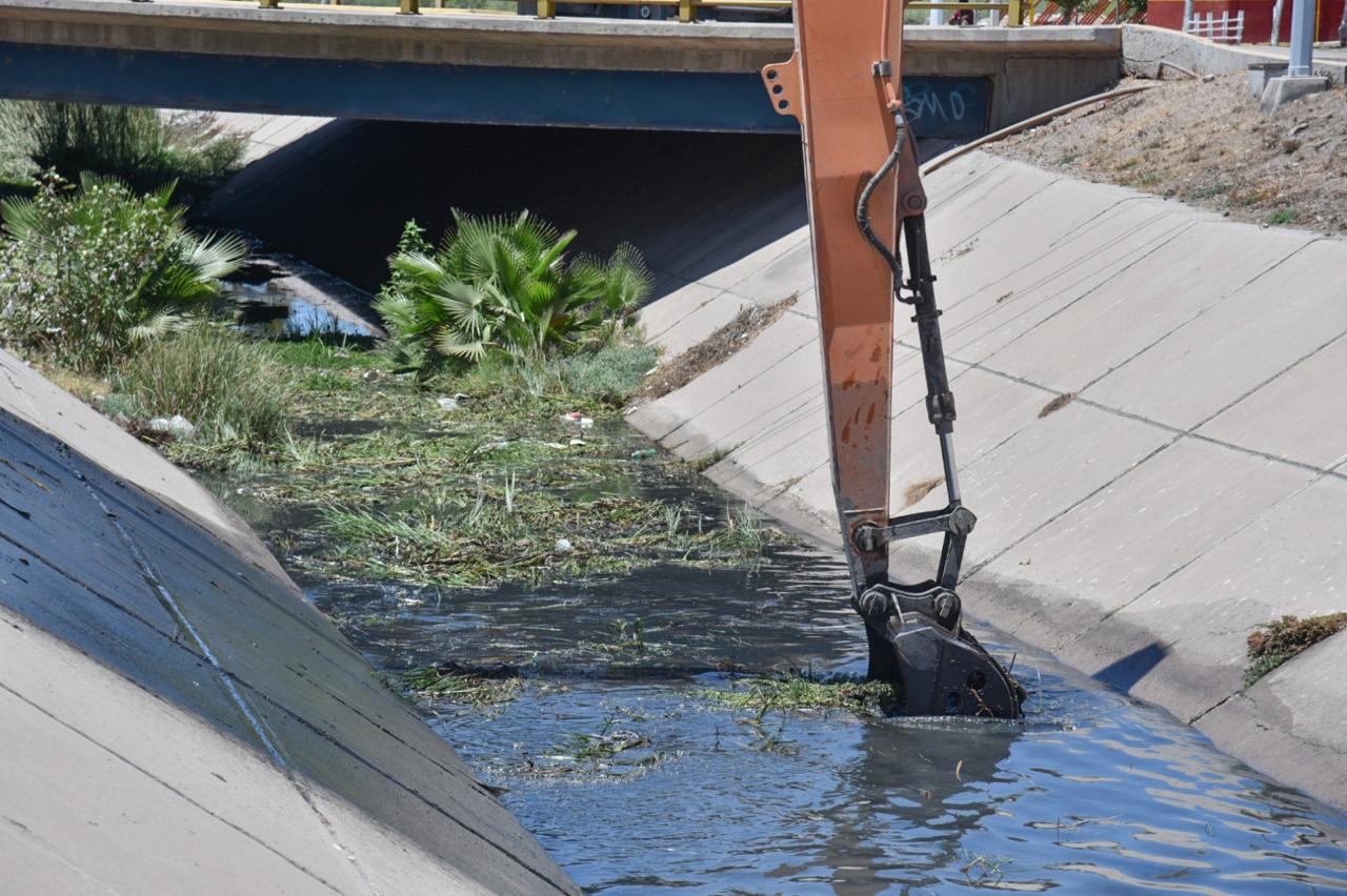 Gobierno de Ahome inicia limpieza de drenes y canales para prevenir ...