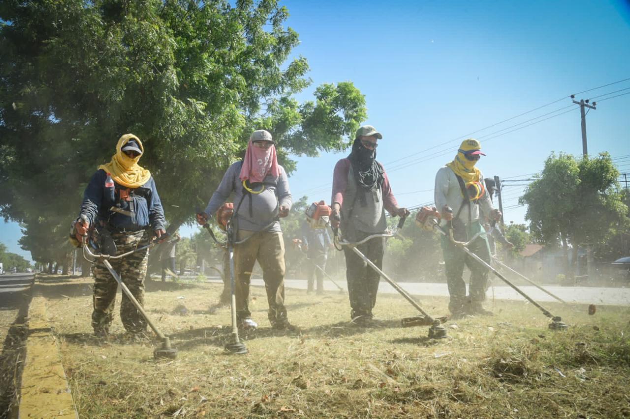 Servicios Públicos en Ahome impulsa rehabilitación de parques; llama a ...